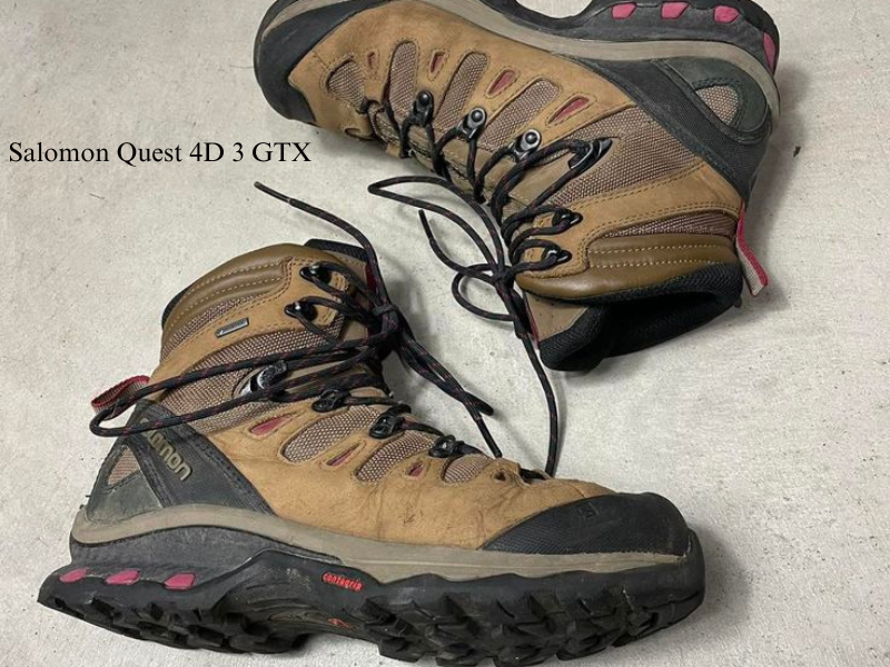 Salomon Quest 4D 3 GTX